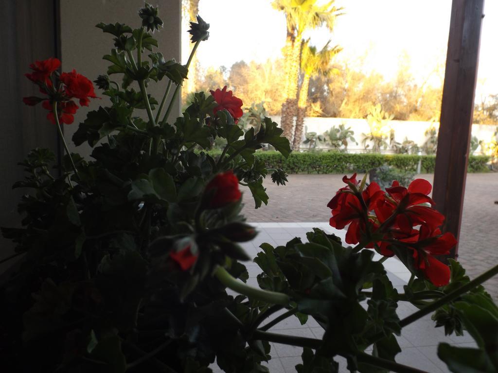 Villetta Del Salento Exclusive B&B Gallipoli Exterior foto